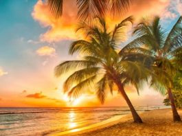 Caribbean Island Tour - journey Begins