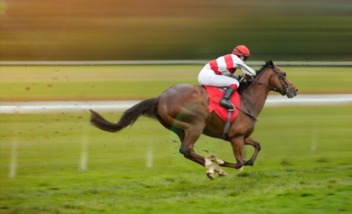 Choosing the most effective racing gambling Sites Choosing the most effective racing gambling Sites
